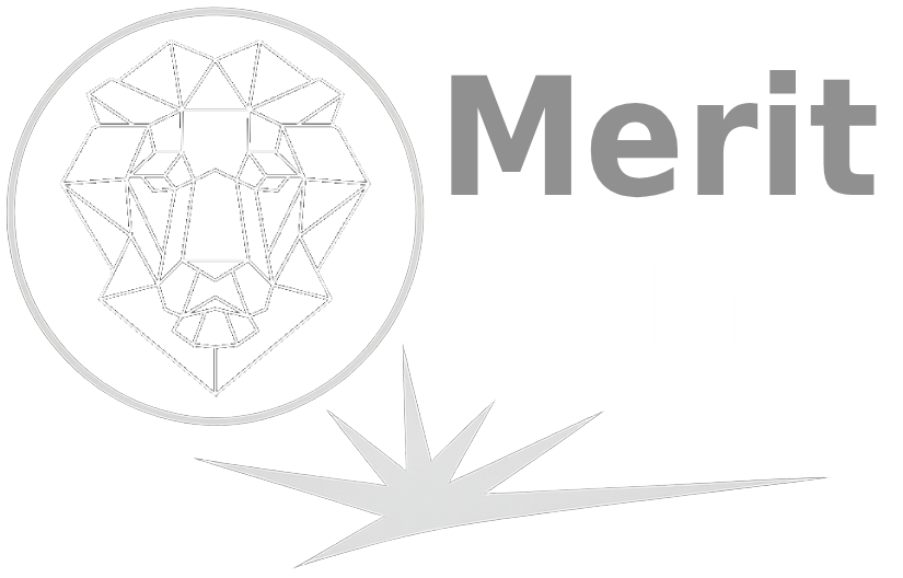 MeritPanel